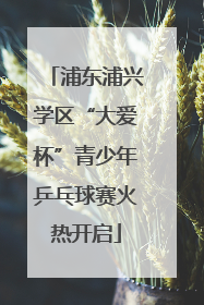 浦东浦兴学区“大爱杯”青少年乒乓球赛火热开启